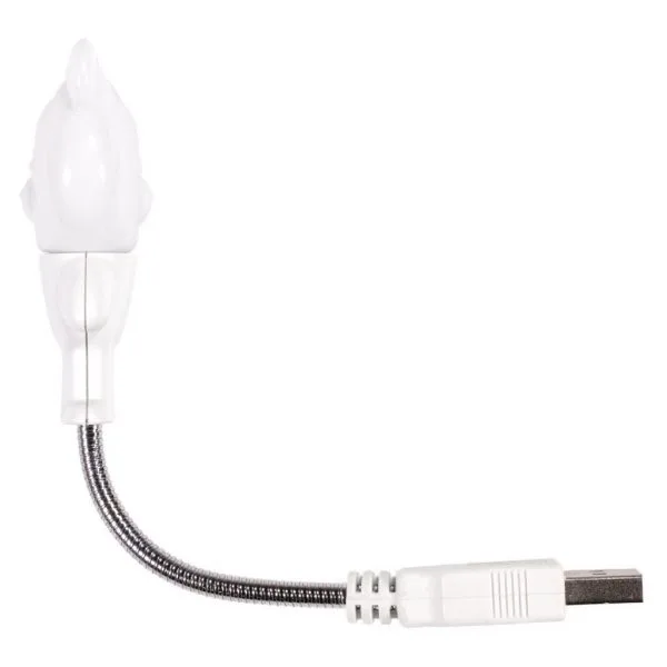 DSC0271 Edit 1024x1024 DSC0271 Edit 1024x1024