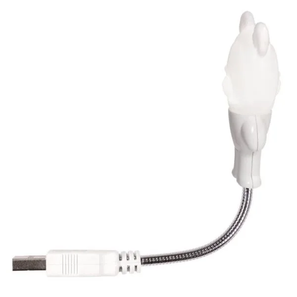 DSC0307 Edit 1024x1024 DSC0307 Edit 1024x1024